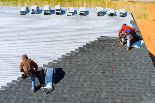 Best Shingle Roofing Installation  in Las Quintas Fronterizas, TX