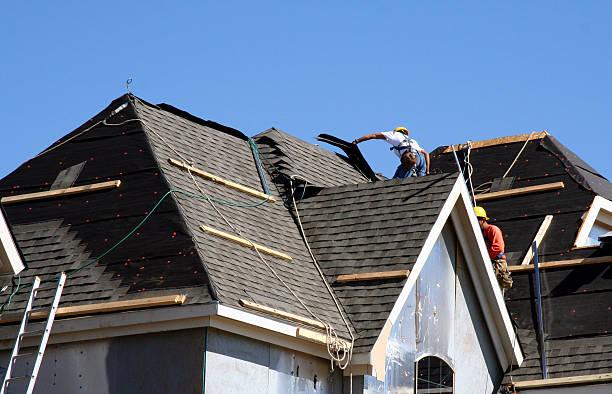 Best Gutter Installation and Roofing  in Las Quintas Fronterizas, TX