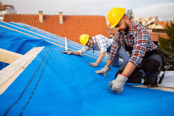 Best Commercial Roofing Services  in Las Quintas Fronterizas, TX