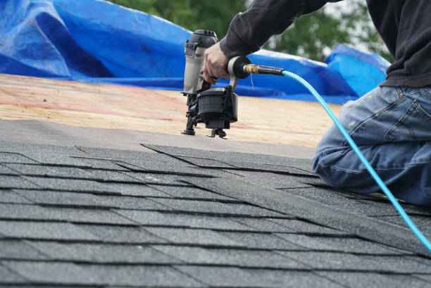 Best Roof Gutter Cleaning  in Las Quintas Fronterizas, TX