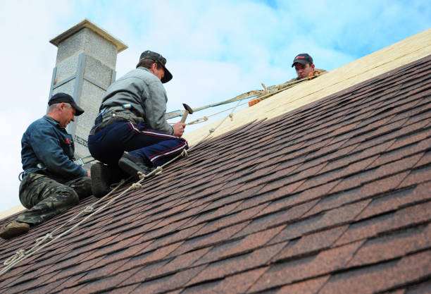 Best New Roof Installation  in Las Quintas Fronterizas, TX